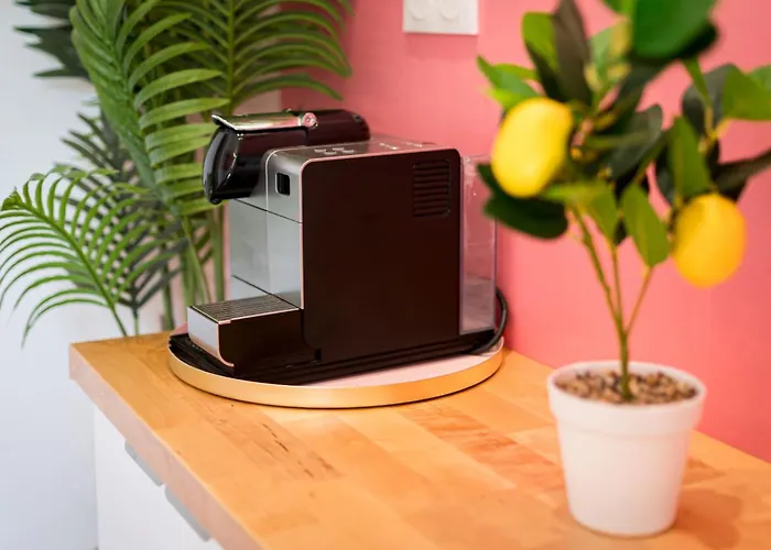 Lejlighed Le Duplex - Casino Et A 50m